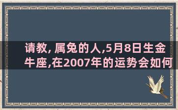 请教, 属兔的人,5月8日生金牛座,在2007年的运势会如何